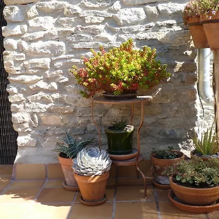 Idyllic Country House In The Foothills Of The Pyrenees 別荘 Castigaleu